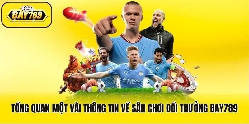 Thông tin tổng quan về Bay789 